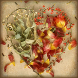 Blossom Heart
