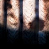 Shadows