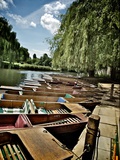 Punting Days