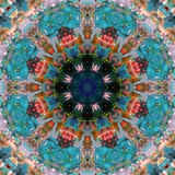 Mandala Royal Tree No 5