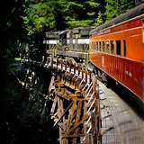 Fox Creek Trestle
