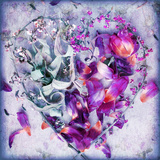 Blossom Heart Lilaque Rose