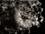 Womb