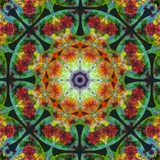 Mandala Whole Nature IV
