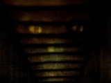 Peepers