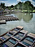 Punting Summer