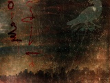 Night-Detail