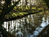 The River at Hoxne