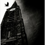 As the Crow Flies