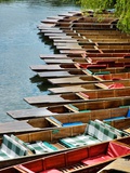 Punting Time