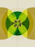 Symmetrical Abstract