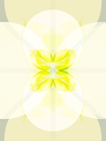 Symmetrical Abstract