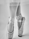 The Ballet Shoes