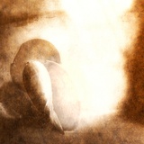 Enter from Stage Left