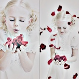 Petal