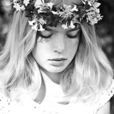 Summer Flowers