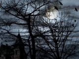 Dark Shadows