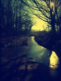 Winter Sun