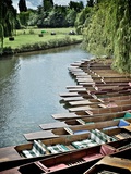 Punting Awaits