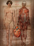 One Heart