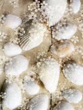 Beach Memory