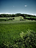 Rural England