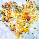Heart of Nature