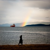 Under the Rainbow
