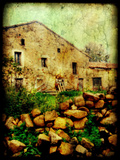 An Old Spanish House with Stone in the Foreground