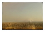 Misty Meadow