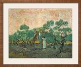 The Olive Pickers  Saint-Remy  1889 (Oil on Canvas)
