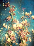 Flush of Spring X