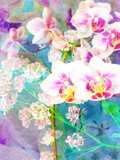 Dancing Flowers