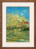 Orchard with Cypress by Van Gogh