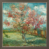 Pêcher En Fleurs (Souvenir De Mauve)