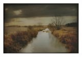 A Rural Scene with Dyke