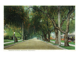 Pasadena  California - View Down Marengo Avenue