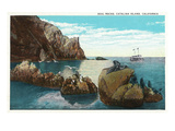 Santa Catalina Island  California - View of the Seal Rocks