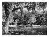 Deleon Springs  Florida - Scenic View