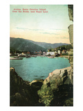 Santa Catalina Island  California - View of City from the Rocks
