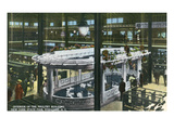 Syracuse  New York - NY State Fair  Poultry Bldg Interior View