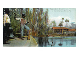 Florida - Gigging from a Ocklawaha River Steamer