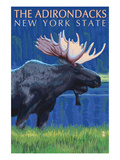 The Adirondacks  New York State - Moose at Night