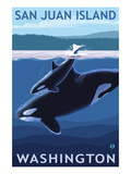 San Juan Island  Washington - Orca and Calf