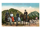 Mt Lowe  California - View of Hiking Group on Horseback at Summit