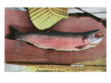 Lake Tahoe  California - Caught Lake Tahoe 5 Pound Trout