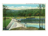 Allegany State Park  New York - View of the Lake and Spillway