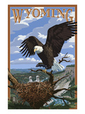 Eagle and Chicks - Wyoming