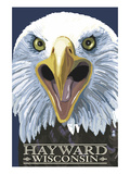 Hayward  Wisconsin - Eagle Up Close