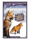 Mt Washington  New Hampshire - Fox Scene